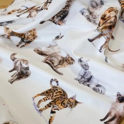 Zasłona w koty – realistyczny wzór dekoracyjny 350 – Zasłony – zdjęcie 5